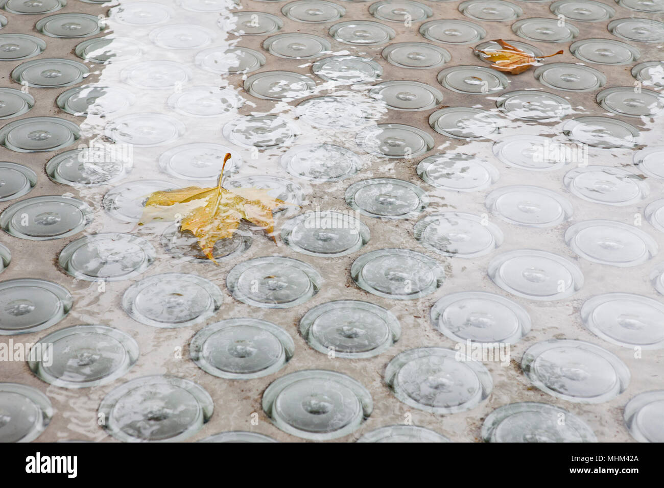 Two fallen autumn leaves floating in water fountain with reflections Stock Photo