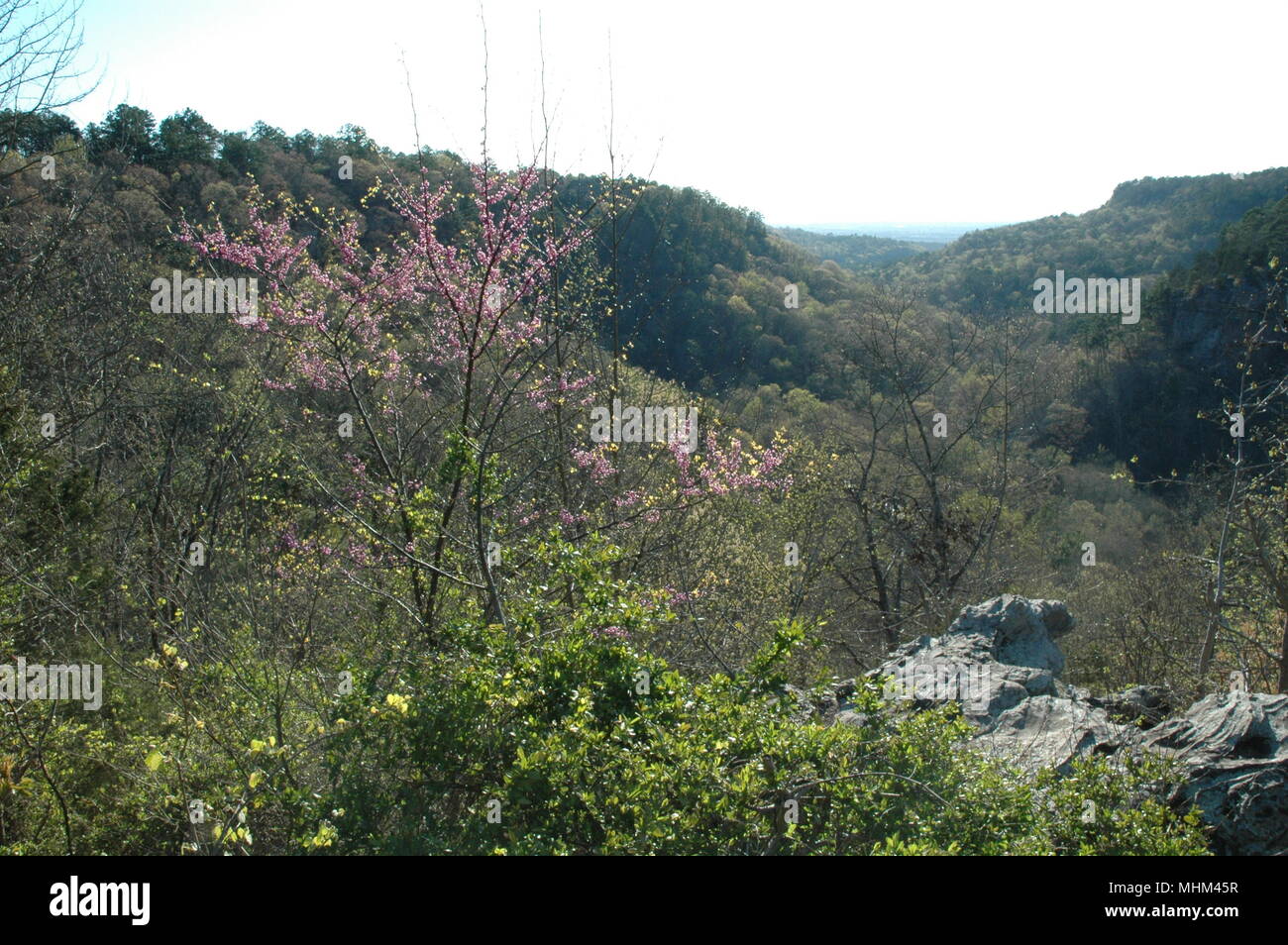 Petit Jean Mountain, in The United States state of Arkansas overlooks