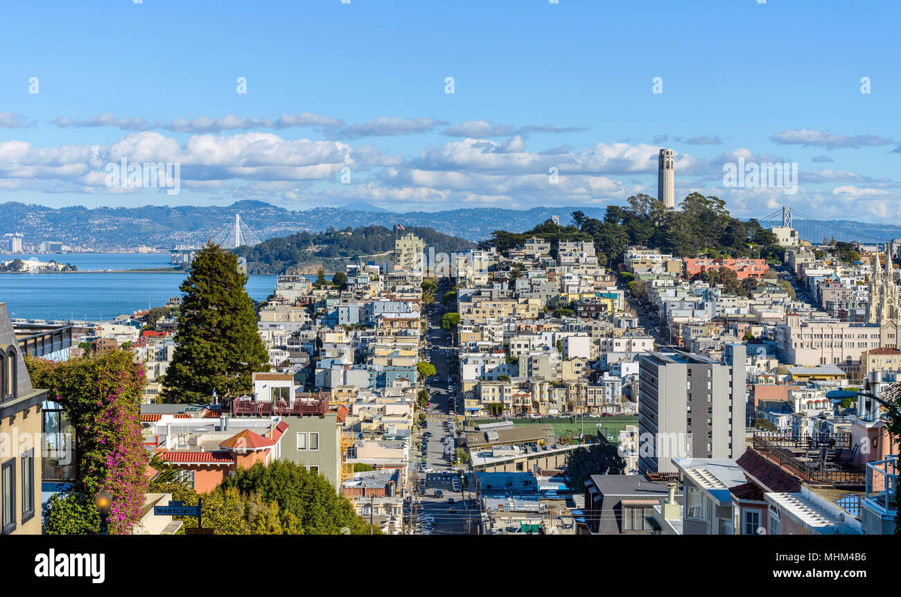 Telegraph Hill - A panoramic view of neighborhoods of Telegraph Hill, Coit Tower and Bay area, looking from top of Russian Hill, San Francisco, CA, US Stock Photo