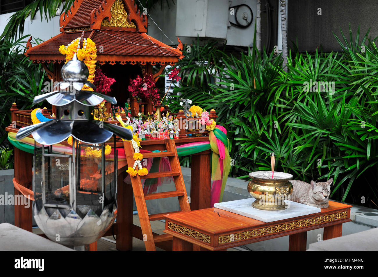 Buddhist Imagery with Grey Cat Pattaya Thailand Stock Photo