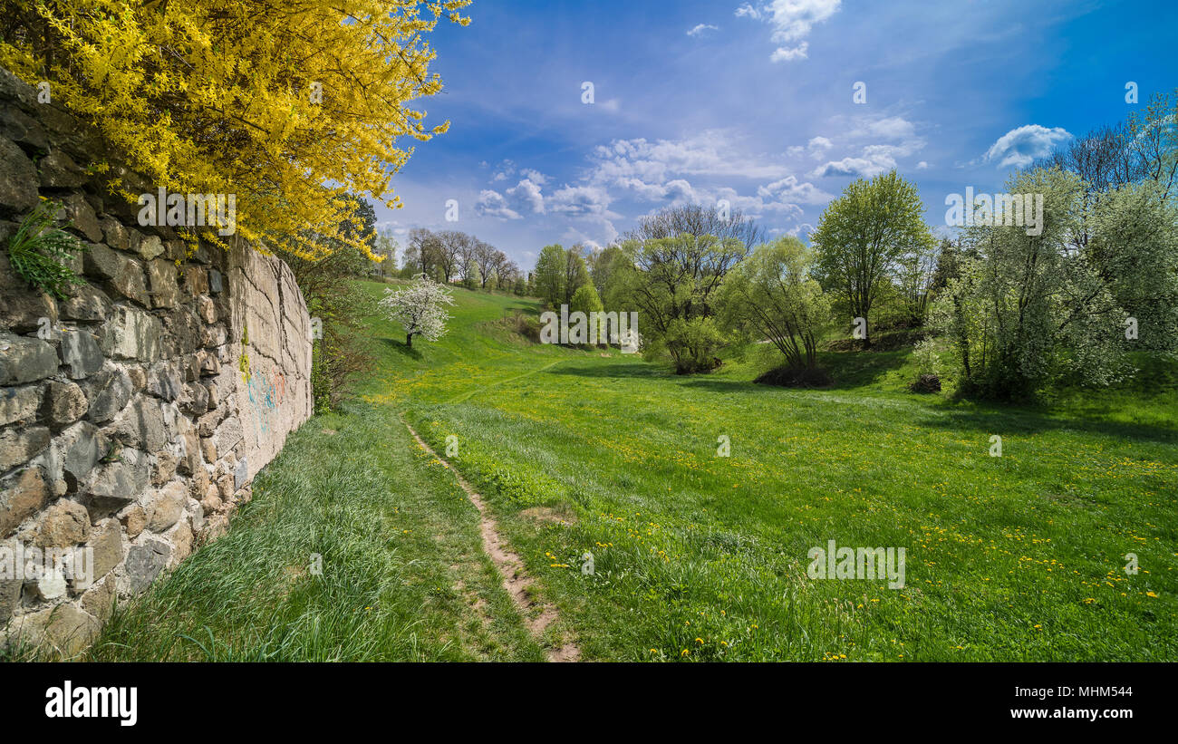 Spring is here. Rural landscape with blossoming trees. Path by beautiful scenic valley. Flowering meadow, yellow blooming shrub, stone wall, blue sky. Stock Photo