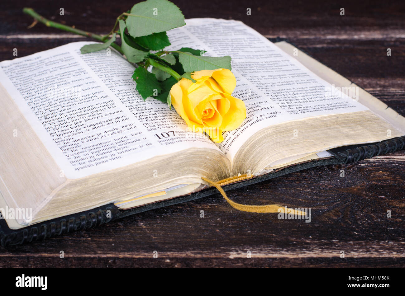 Yellow rose on top of an old Bible Stock Photo Alamy