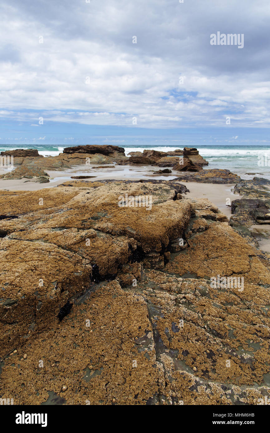 Strip of big stones on the sandy beach during an outflow. Black and gray stones, yellow sand and water of the ocean in the distance. Sunny summer day Stock Photo