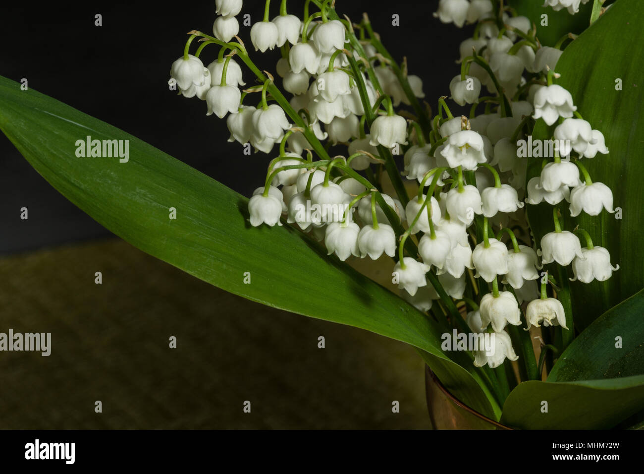 One lily valley in hi-res stock photography and images - Alamy