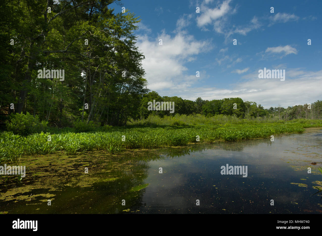 The ipswich river flows freely through Topsfield, Massachusetts Stock