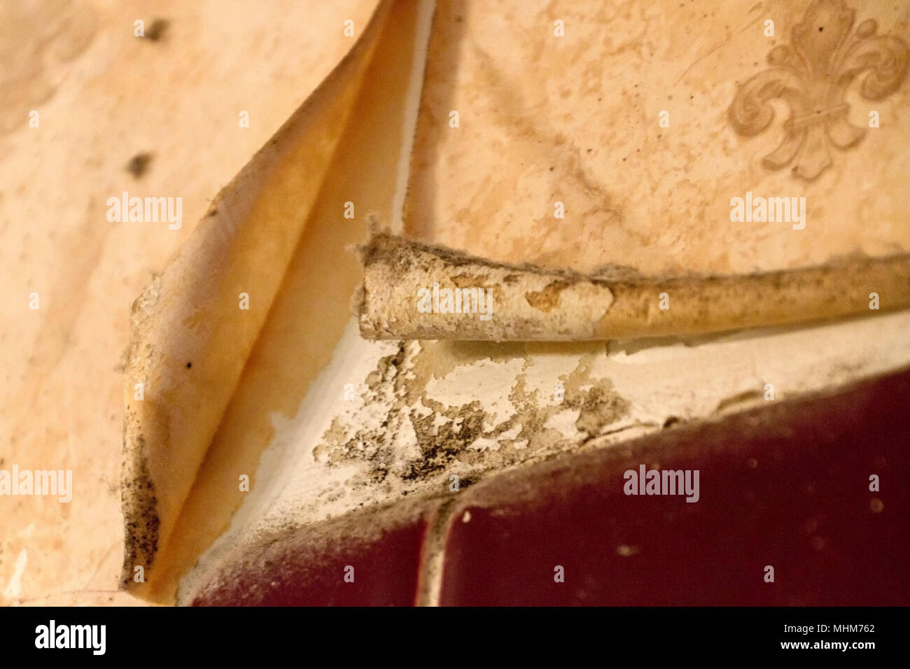 Peeling wallpaper hires stock photography and images Alamy