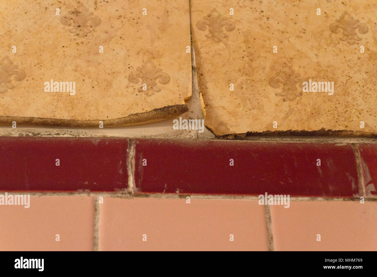 Close up of moldy, peeling wallpaper and shower tile in an old bathroom Stock Photo Alamy
