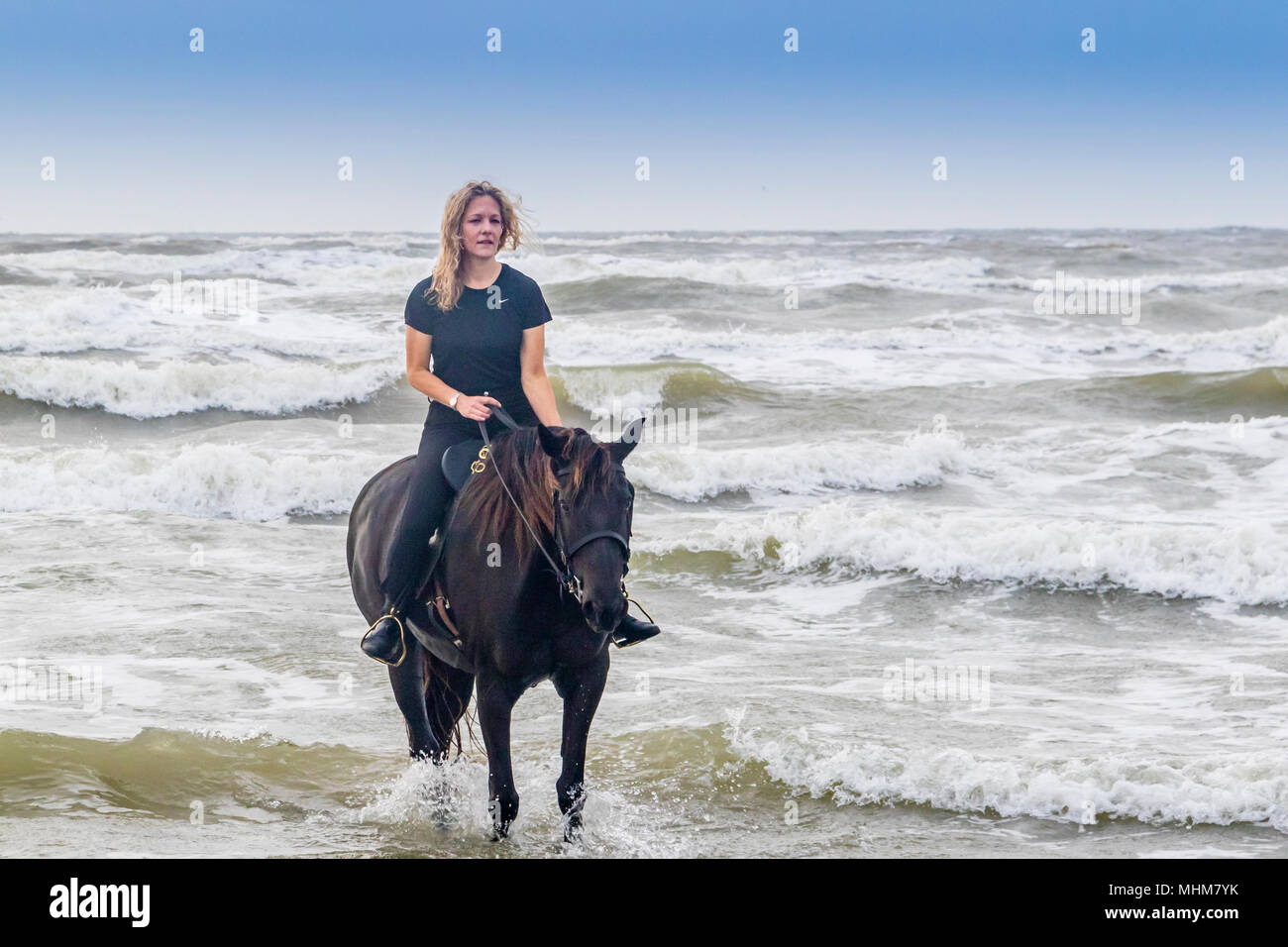 Horse and rider running through waves on Galveston Beach. Stock Photo