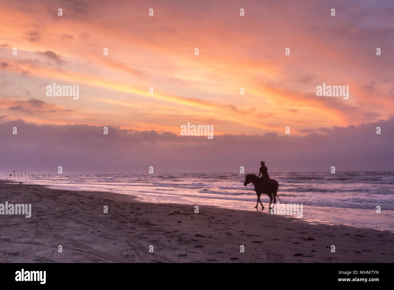 Silhouette of horse and rider on Galveston Beach at sunrise Stock Photo