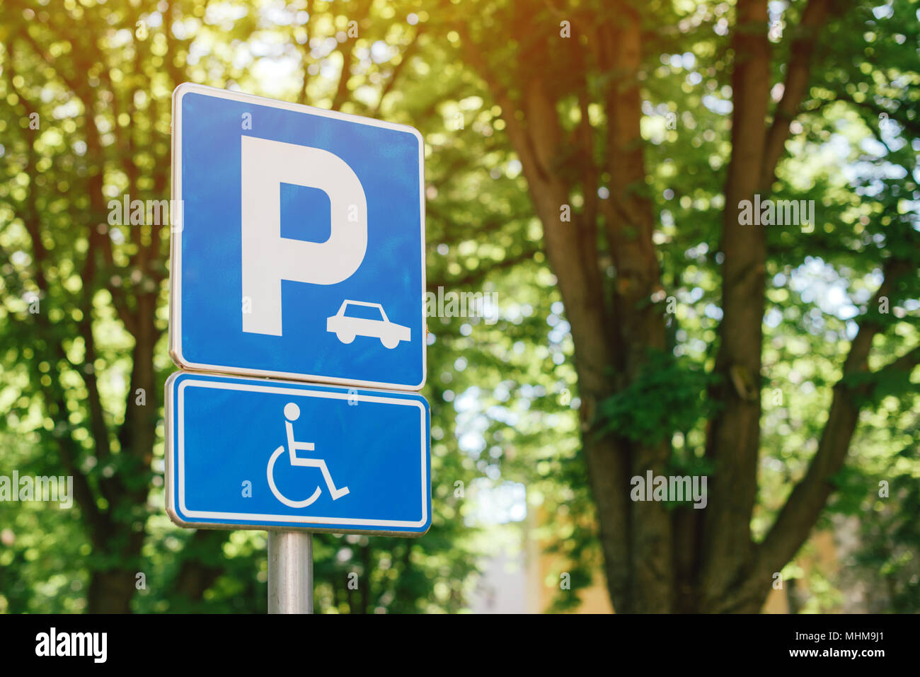 Handicap parking spot sign, reserved lot space for disabled person, selective focus Stock Photo