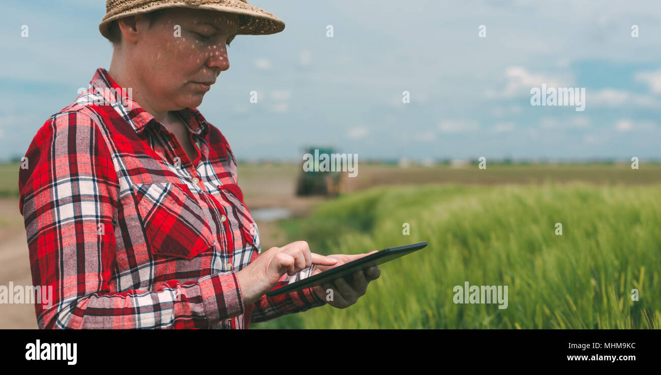 Responsible smart farming, using modern technology in agricultural production, female farmer agronomist with digital tablet computer using mobile app  Stock Photo