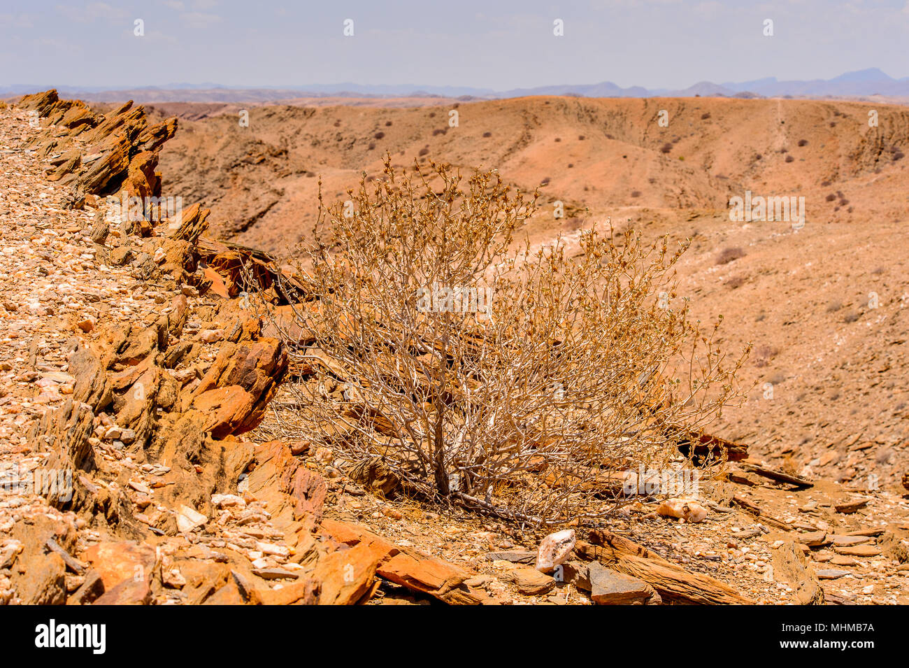 Beautiful landscape of the desert of Namibia Stock Photo