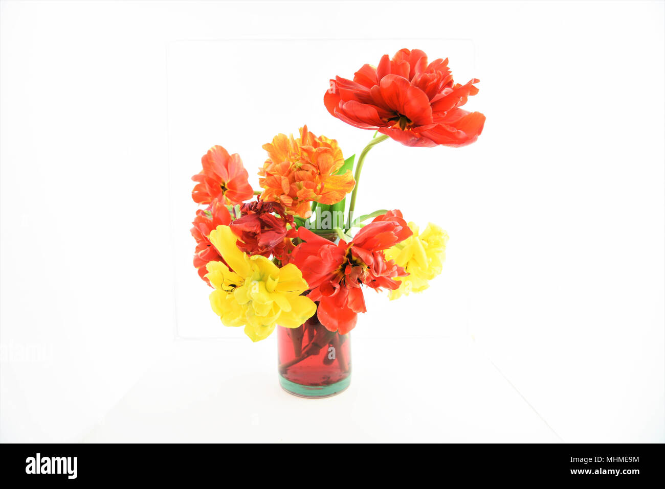 vase or jug of with peony tulip flowers Stock Photo