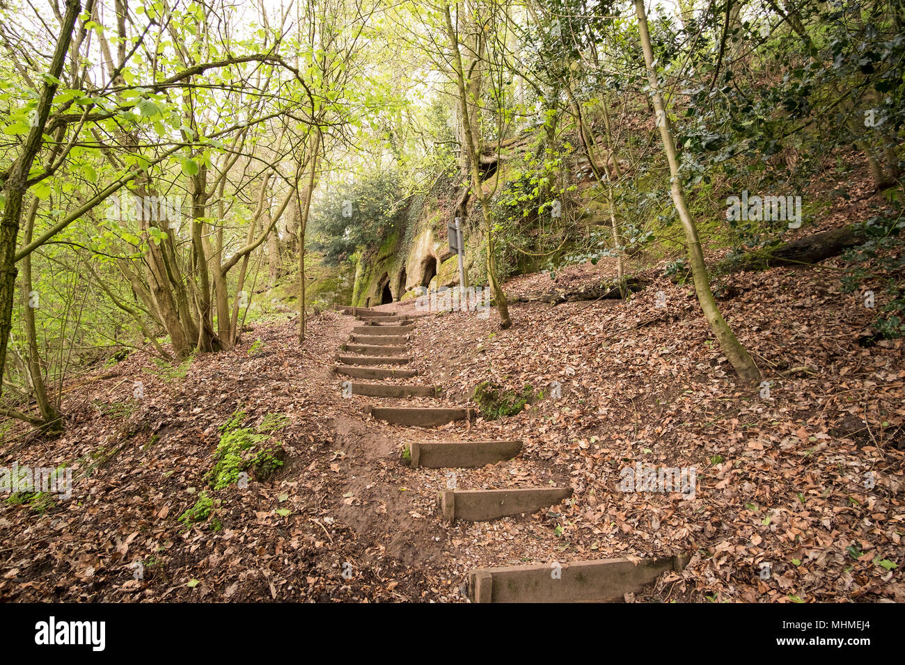 A stepped path in Hermits Wood, Dale Abbey, Derbyshire, UK Stock Photo