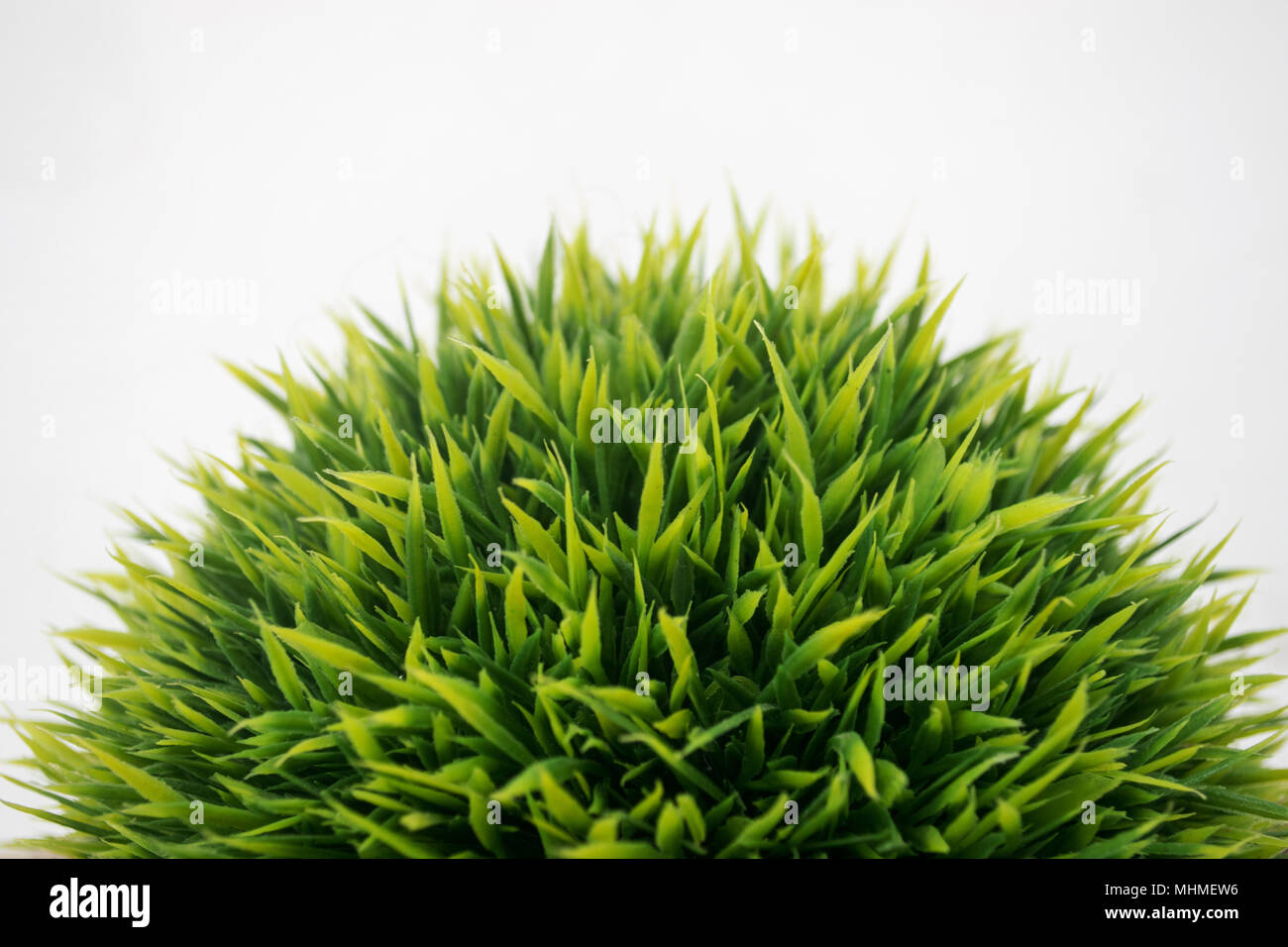 Green grass isolated on white background Stock Photo - Alamy
