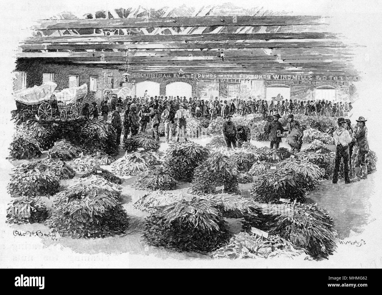 North Carolina, USA tobacco market selling tobacco leaves Date 1895 Stock Photo Alamy