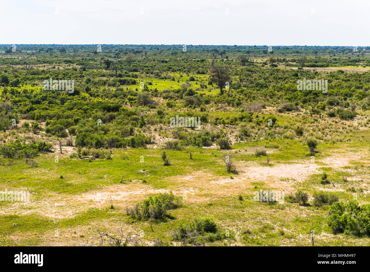 Aerial view of nature of Botswana, Africa Stock Photo - Alamy