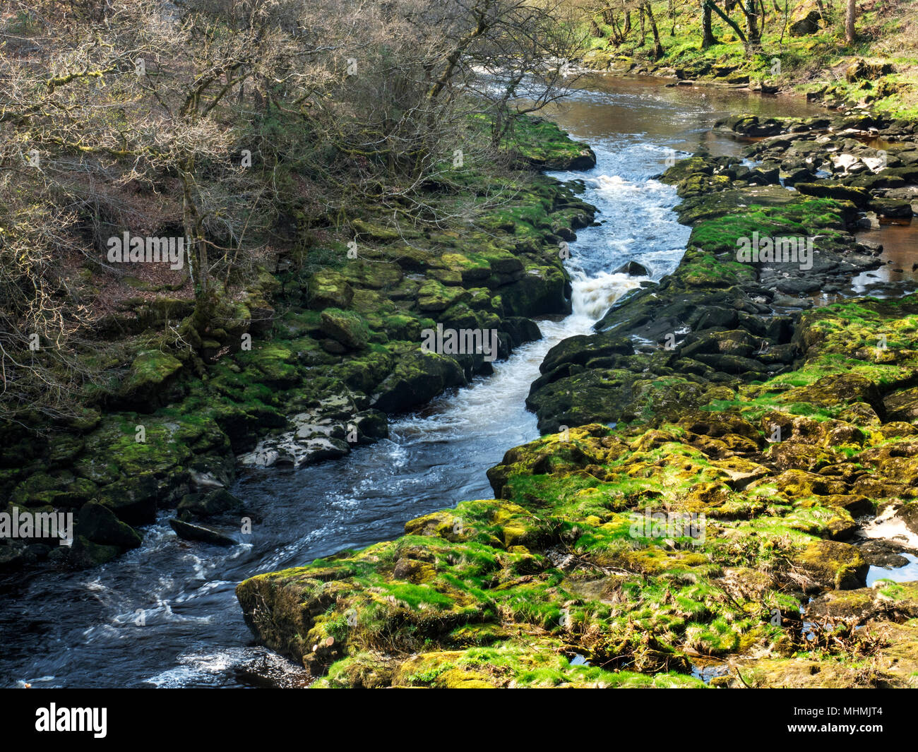 High Strid on the River Wharfe at Bolton Abbey North Yorkshire England Stock Photo