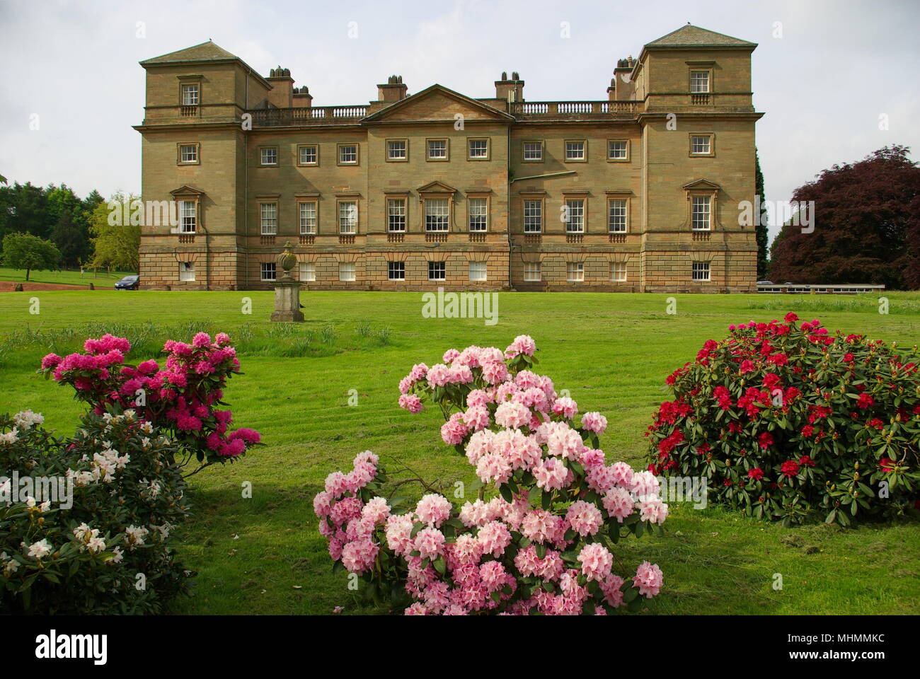 View of Hagley Hall, Hagley, Worcestershire, with rhododendron bushes in the foreground.  The house was built in the 18th century in the Palladian style.     Date: May 2008 Stock Photo