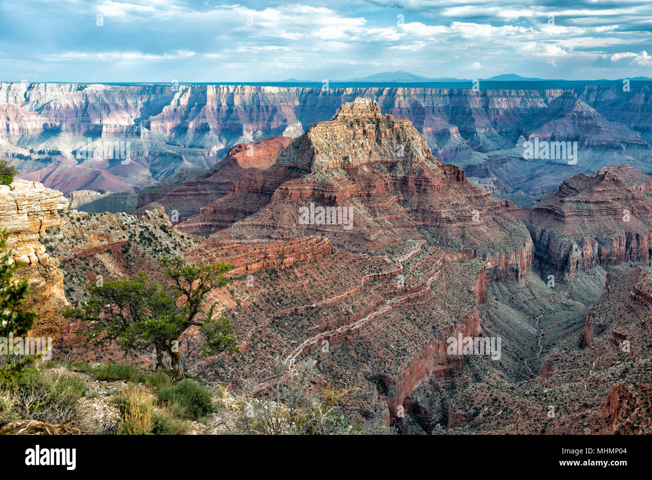 Grand Canyon view panorama from north rim Stock Photo - Alamy