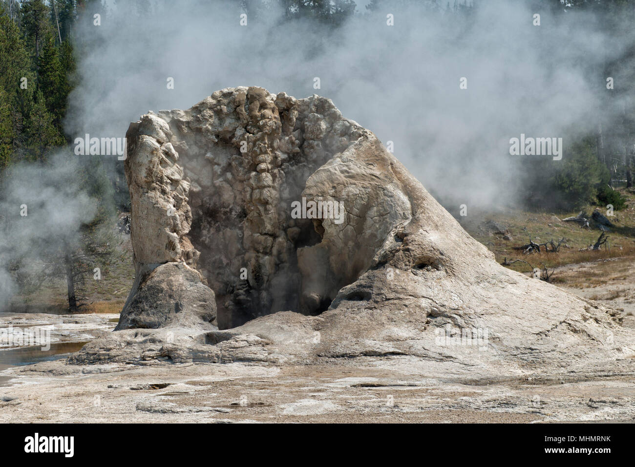 yellowstone national park geyser while blowing Stock Photo Alamy