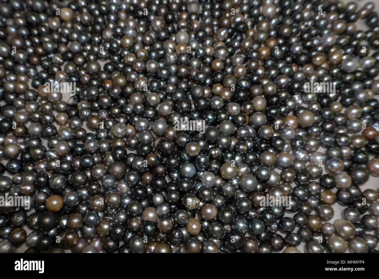 many black pearls in polynesia cook islands Stock Photo - Alamy