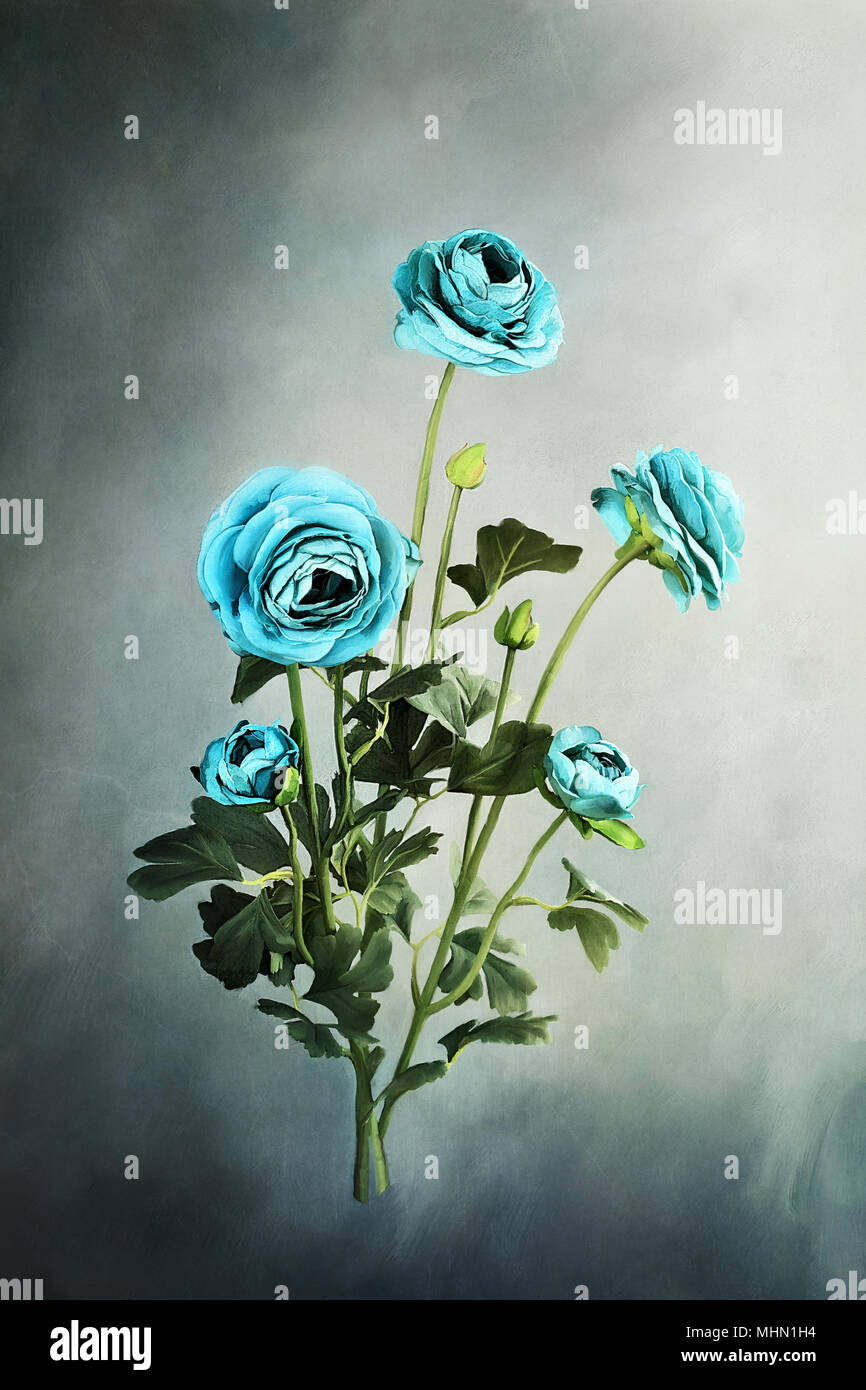 Digital painting of beautiful blue Ranuculus flowers. Stock Photo