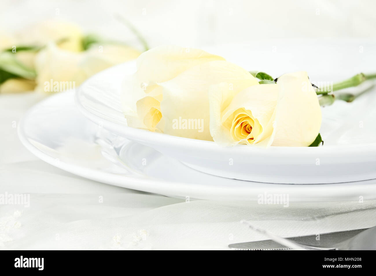 Long Table Row Roses Long stem rose hi-res stock photography and images - Alamy