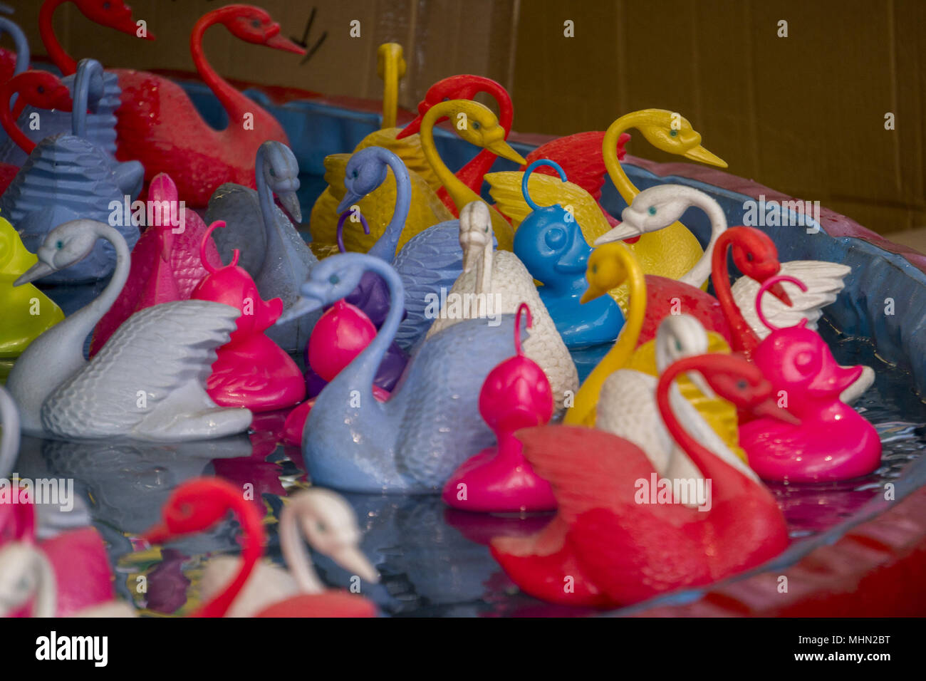 amusement park swan catch prize game Stock Photo Alamy