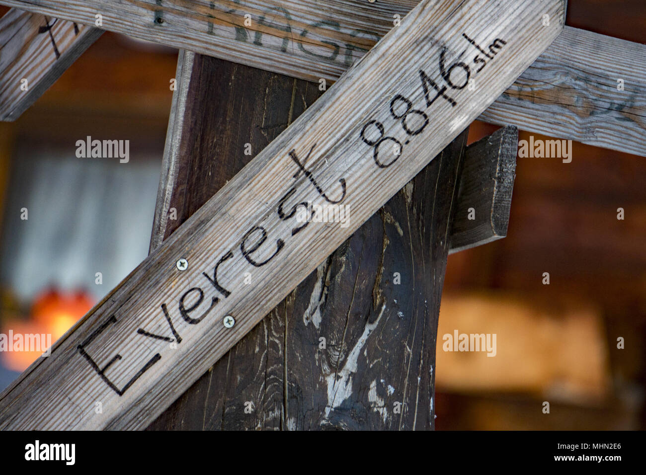 Bildergebnis fÃ¼r 8846