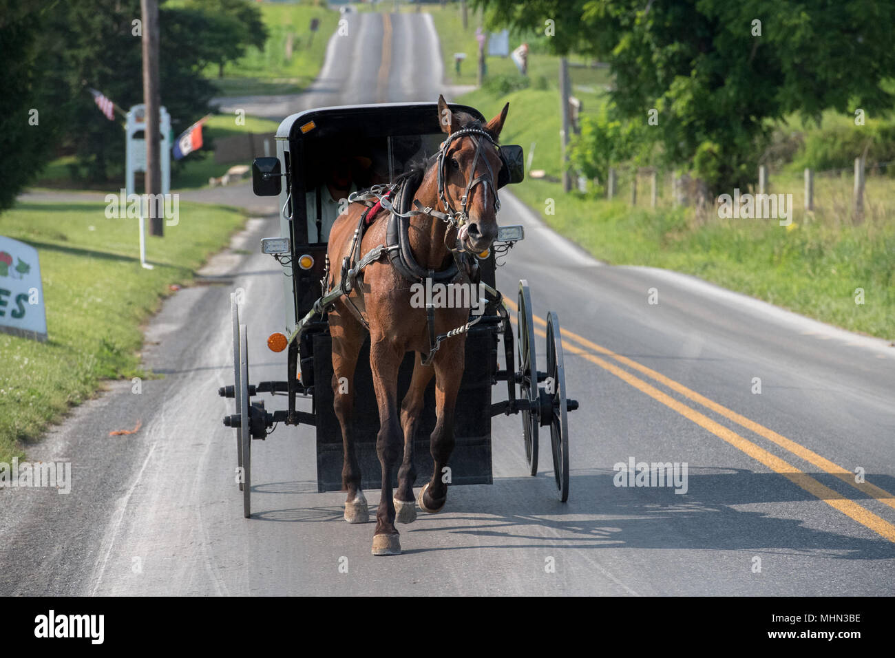 horse wagon buggy in lancaster pennsylvania amish country Stock Photo
