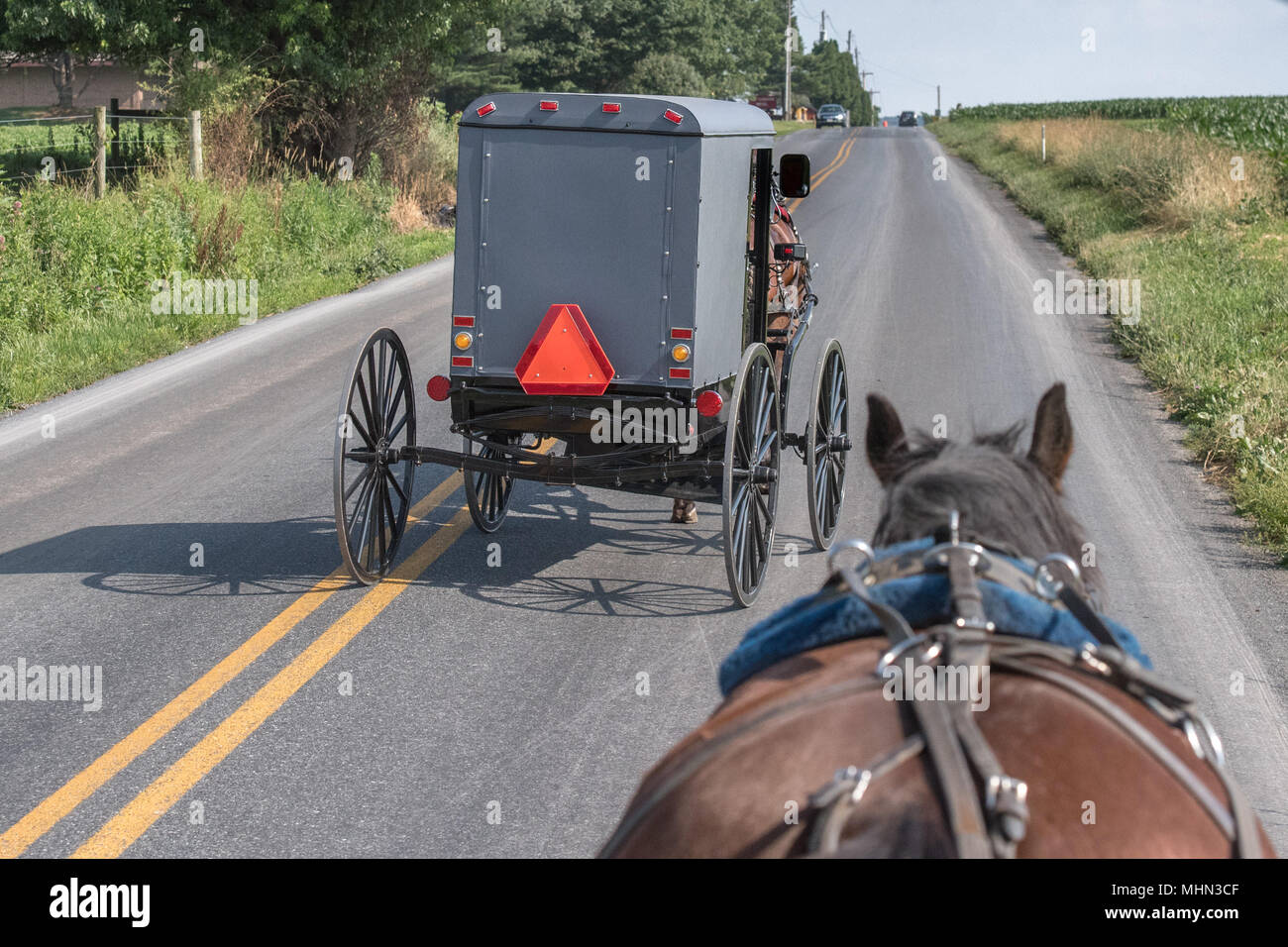 horse wagon buggy in lancaster pennsylvania amish country Stock Photo