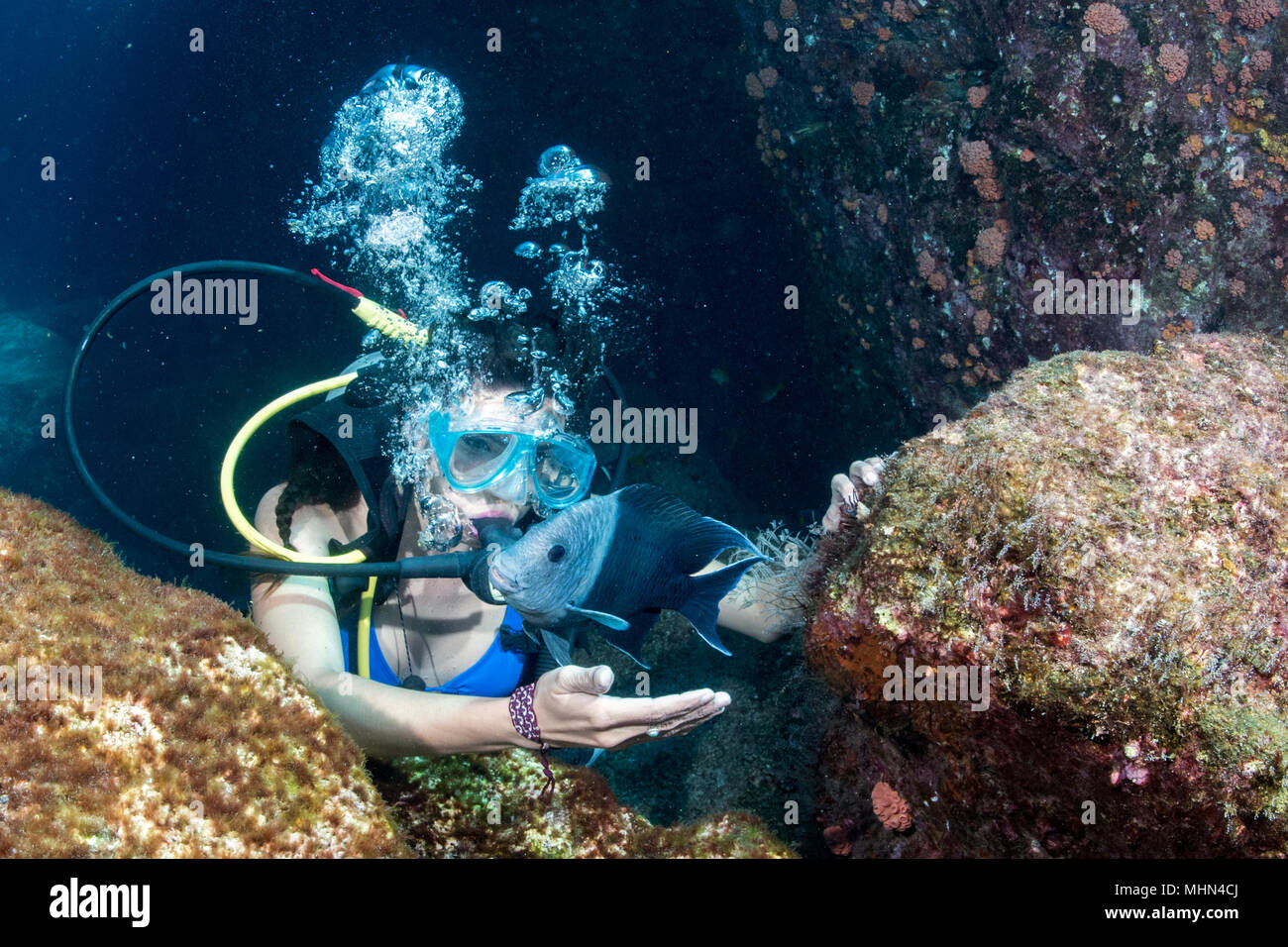 black hair mexican beauty diving in the deep blue sea Stock Photo - Alamy