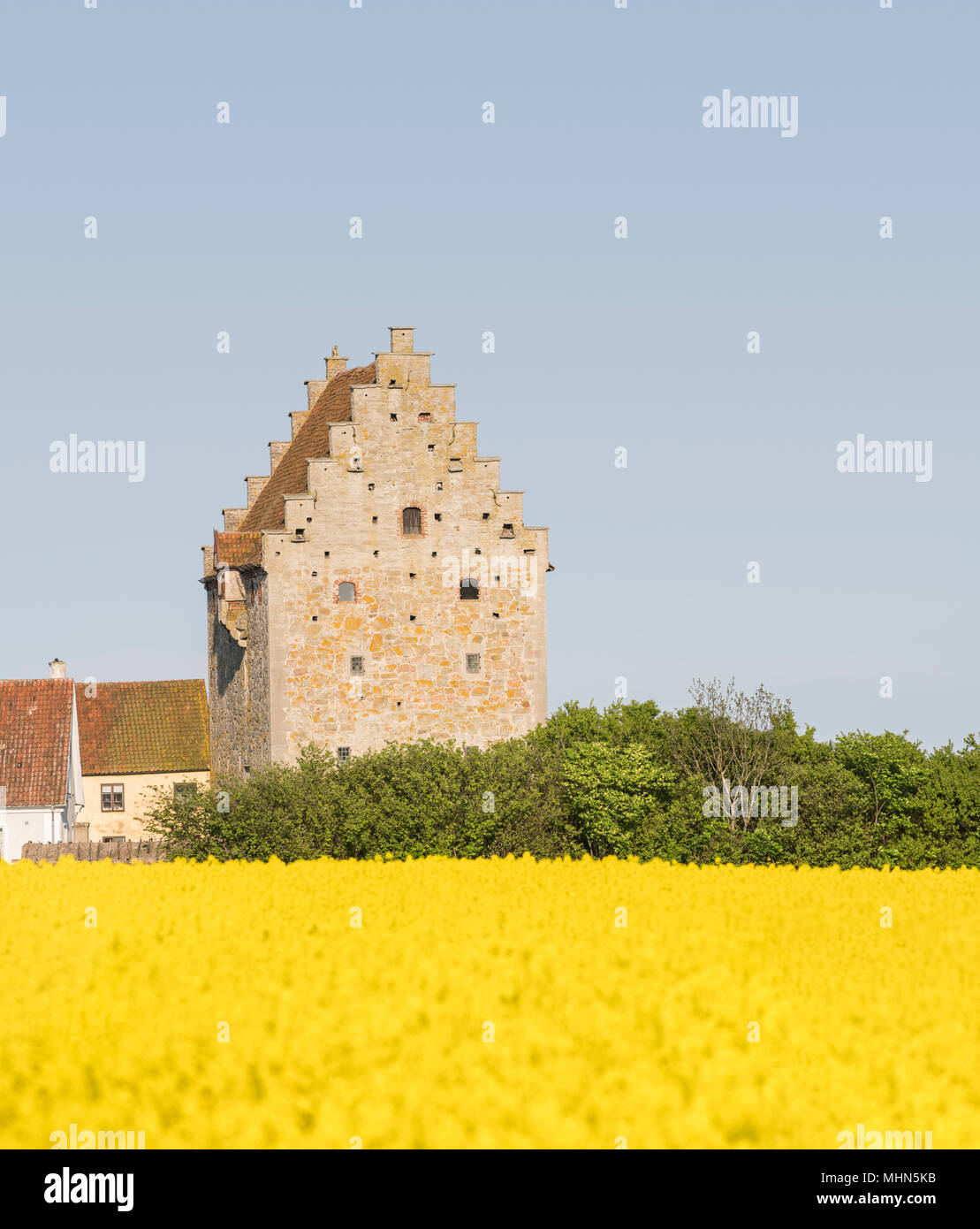 Glimmingehus medieval stronghold. Skillinge, Osterlen, Sweden. Stock Photo