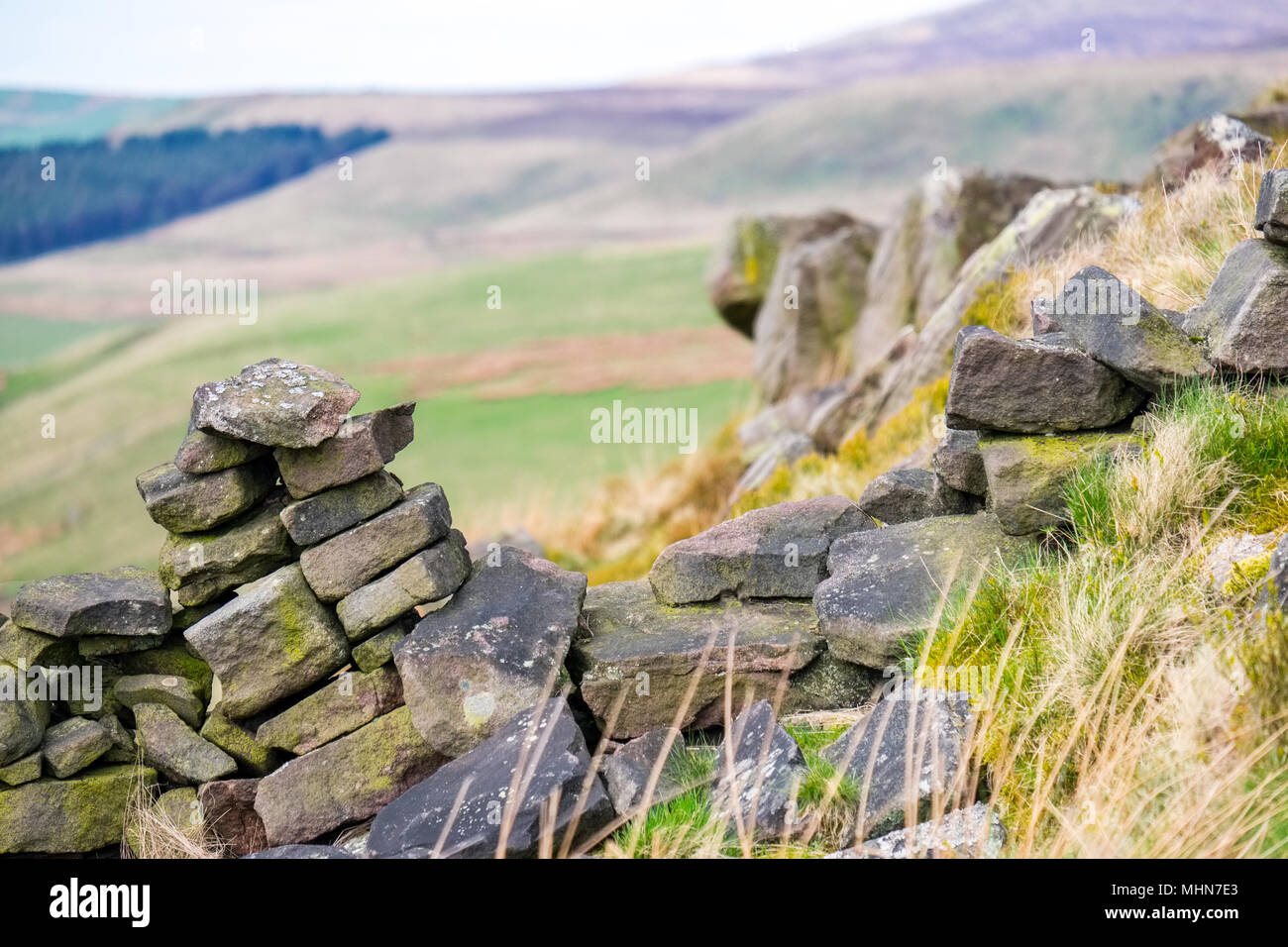 Gritstone moorland in the Peak District National Park,UK Stock Photo