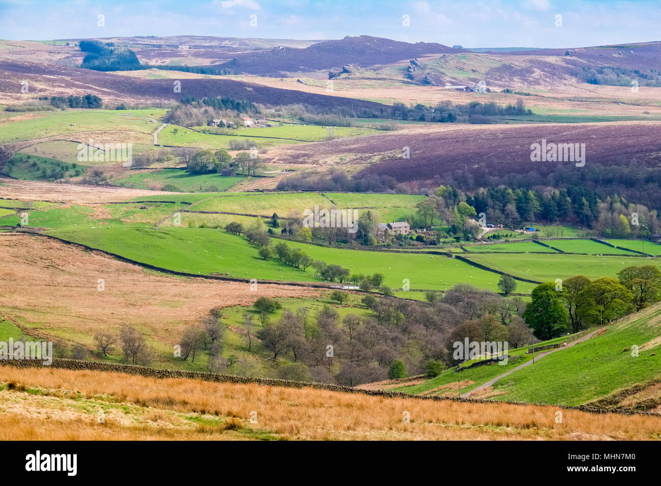 Drystone walls and rough moorland in the Staffordshire Moorlands area