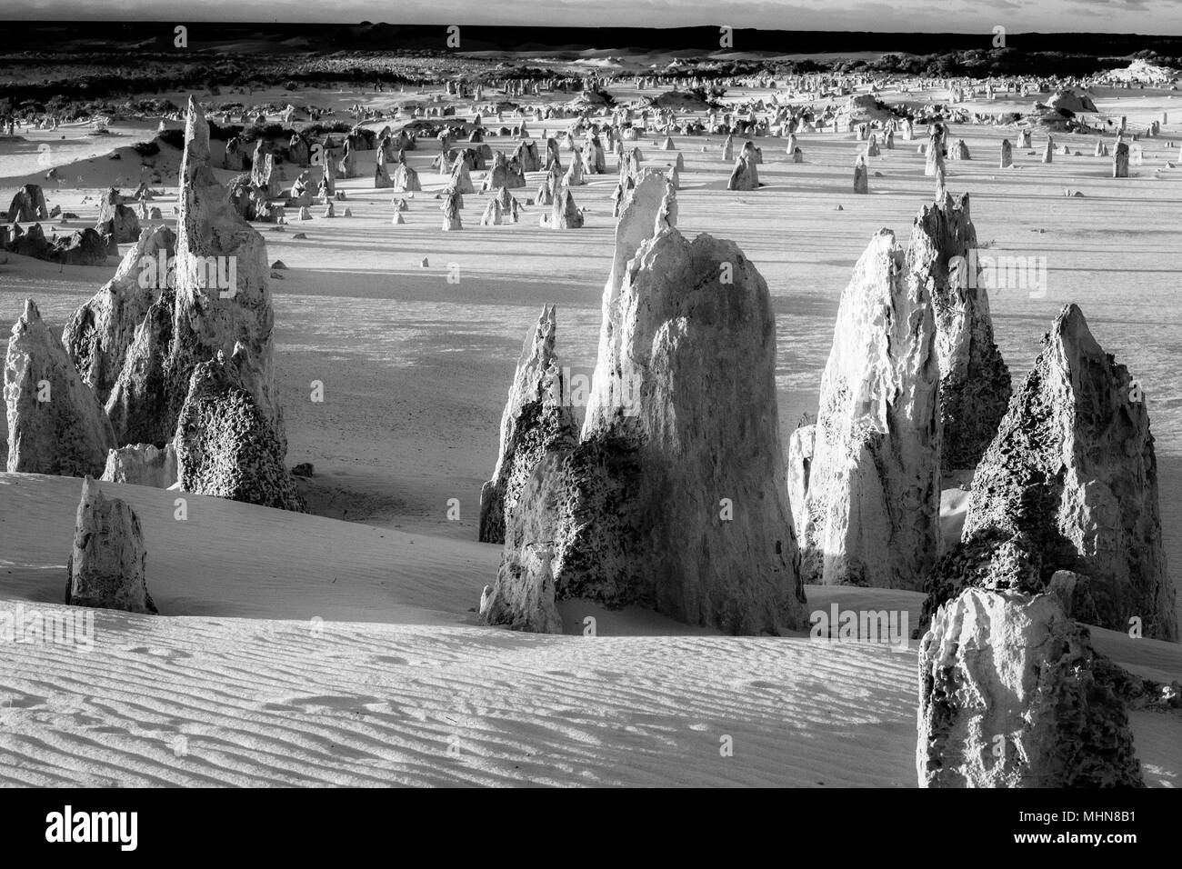 Western Australia; The Pinnacles, Nambung National Park Stock Photo