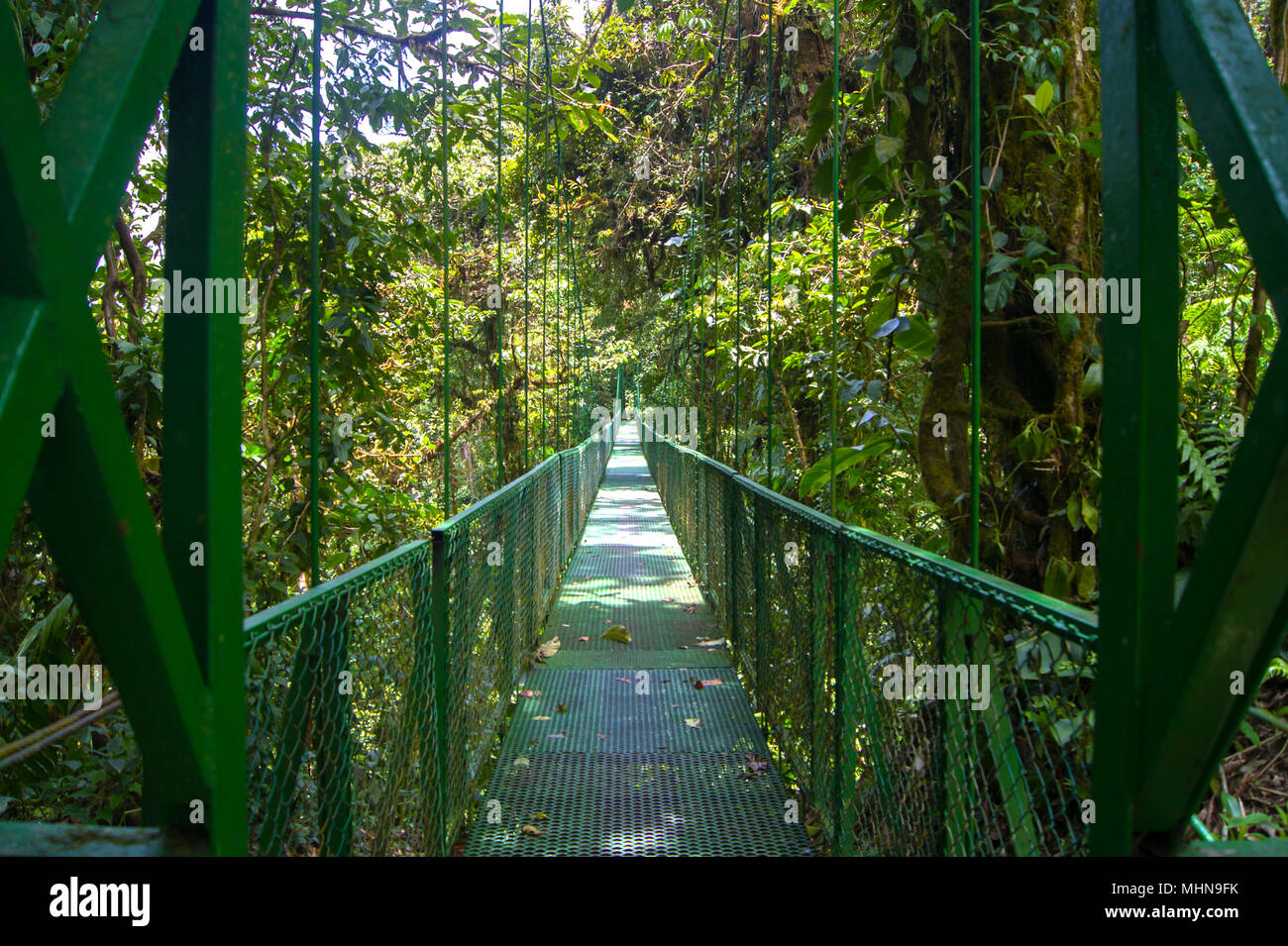 Hanging Bridge perspective, Monteverde, Clouds Forest, Costa Rica Stock Photo