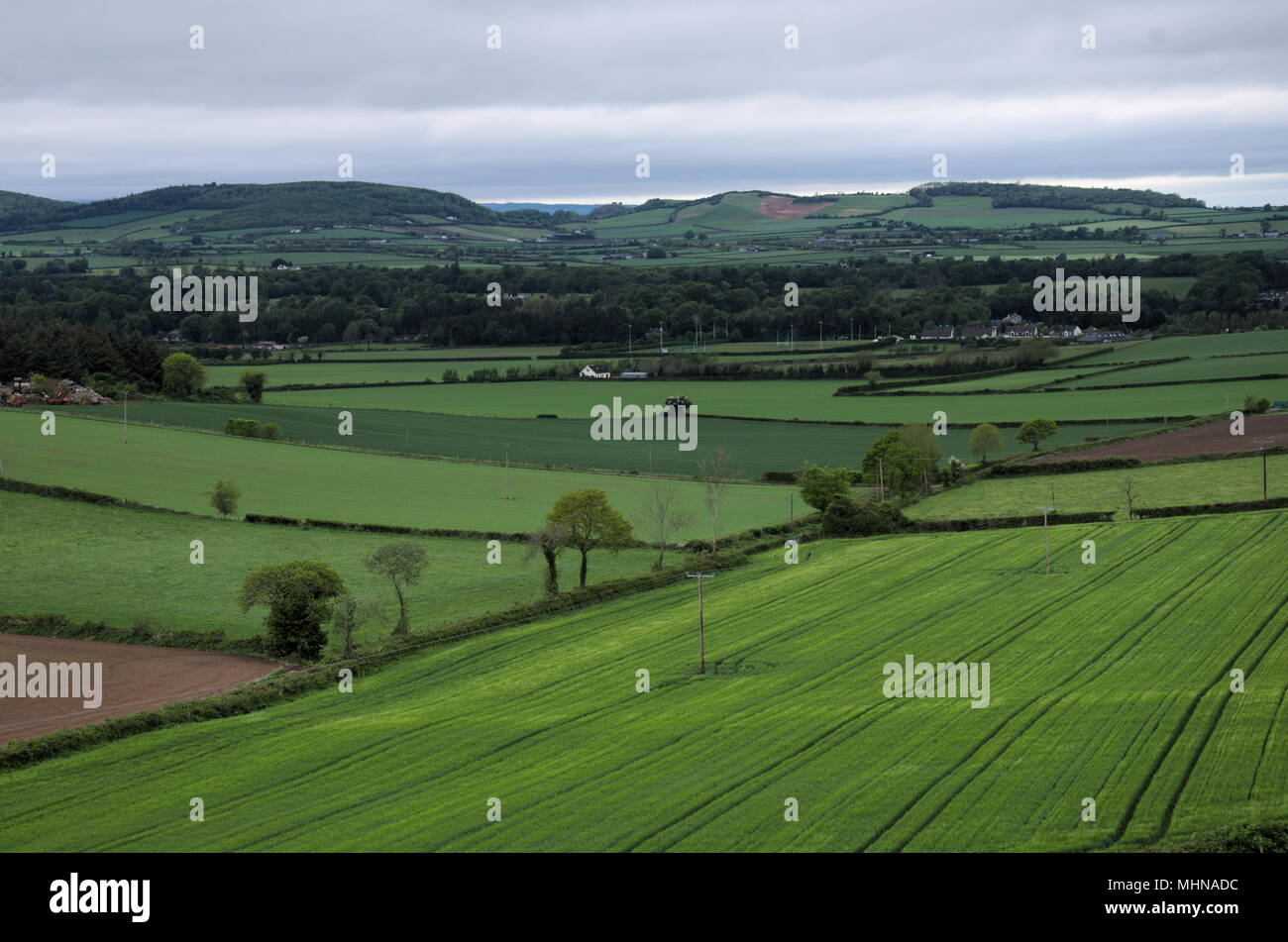 Agriculture fields in Ireland Stock Photo