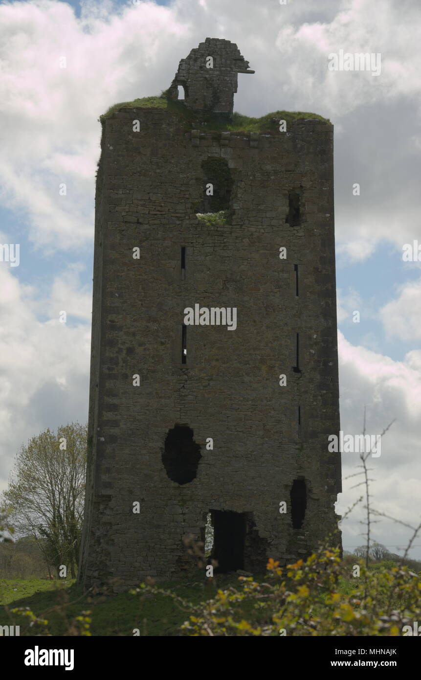Old tower house ruin near Shannon in Ireland Stock Photo