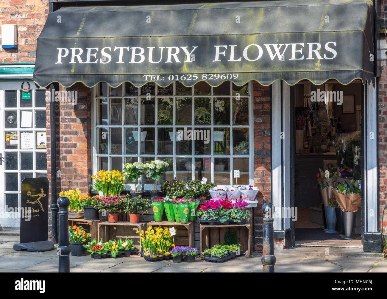 Flower shop in the rural and historic village of Prestbury in Cheshire Stock Photo