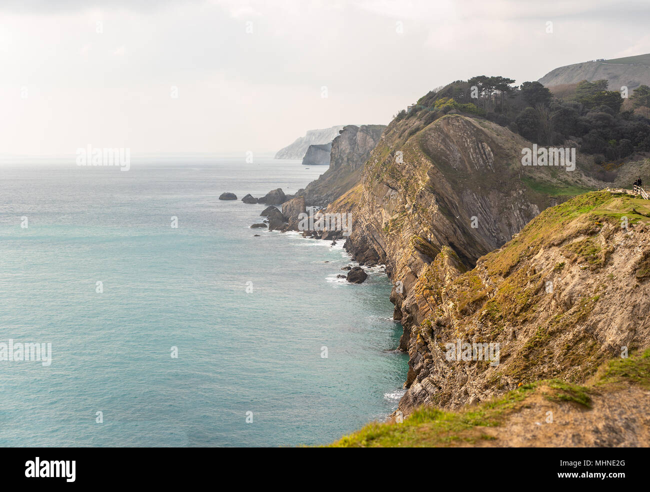 View of the shear sided cliffs along the Jurassic Coast viewed from Lulworth cove to Durdle Door, Dorset, South England. Stock Photo