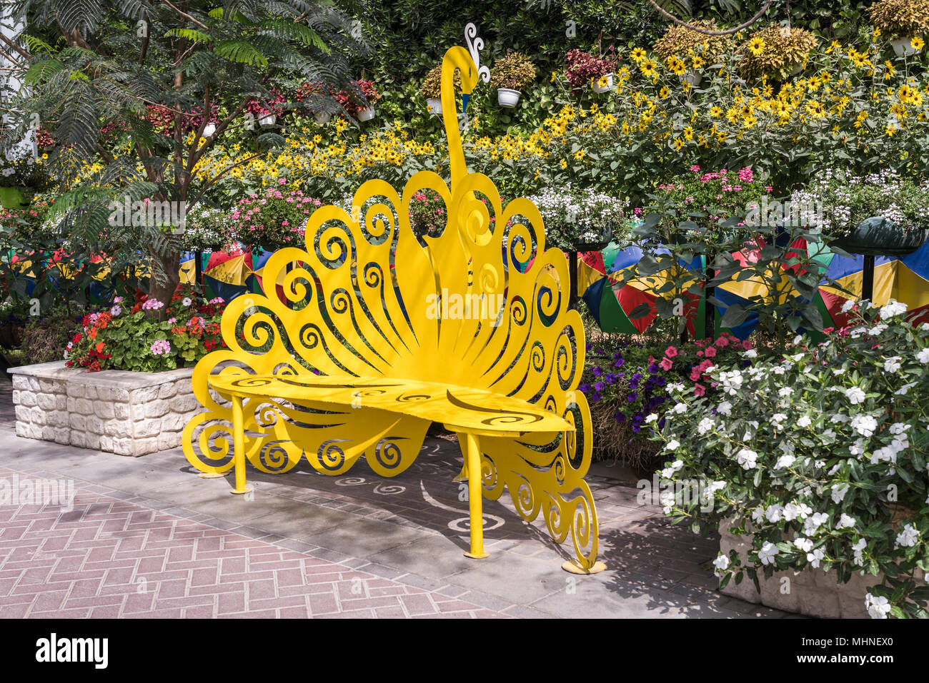 A garden bench at the Miracle Gardens in Dubai, UAE, Middle East Stock