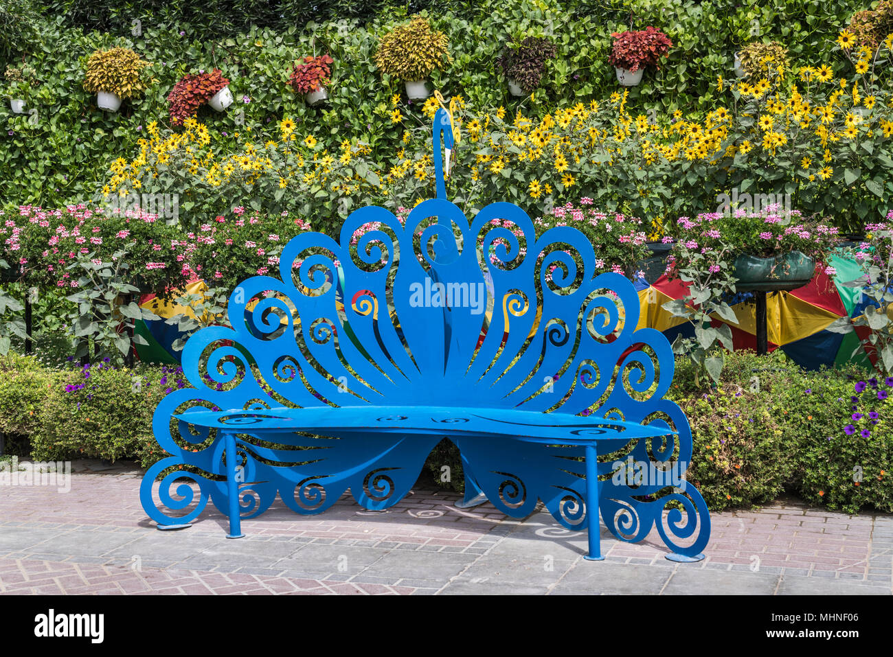 A garden bench at the Miracle Gardens in Dubai, UAE, Middle East Stock