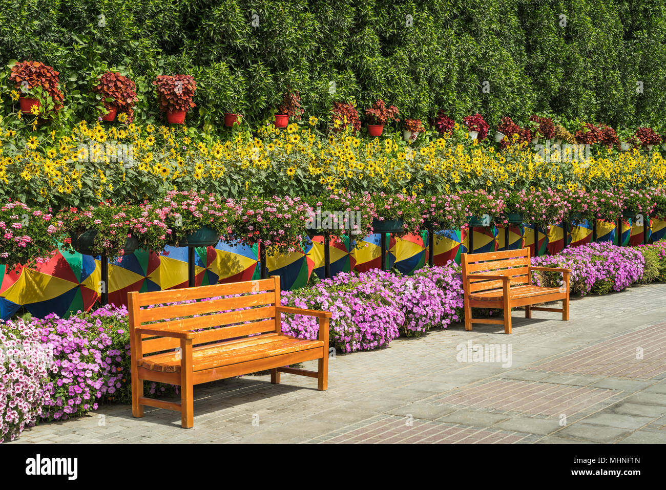 A garden bench at the Miracle Gardens in Dubai, UAE, Middle East Stock