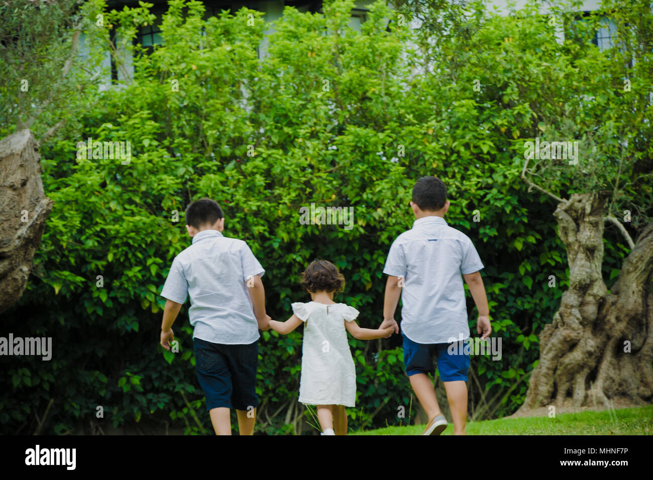 Three girls holding hands hi-res stock photography and images - Alamy