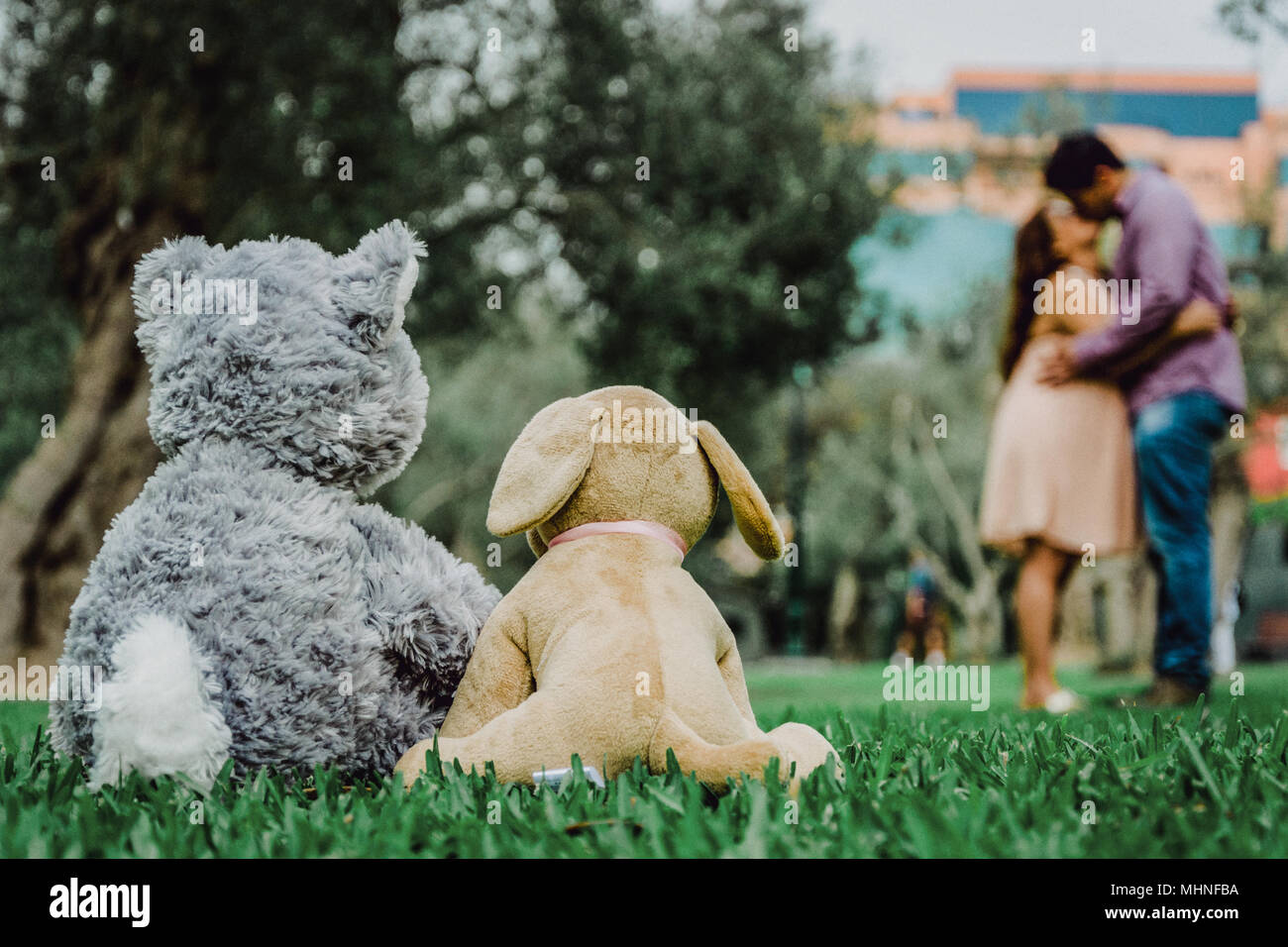 two teddy bears kissing