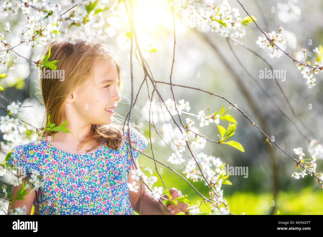 Happy little girl in cherry blossom garden Stock Photo - Alamy
