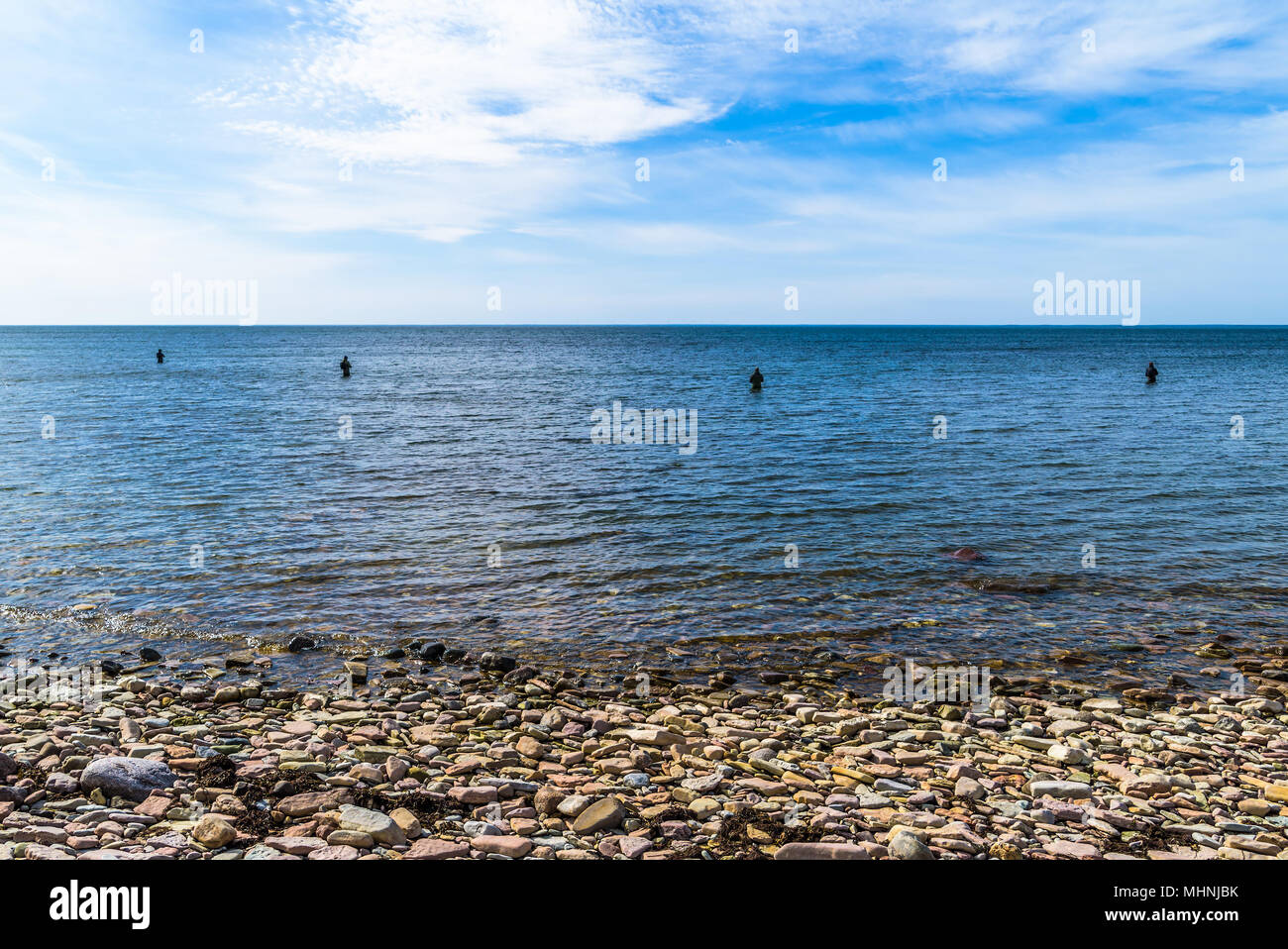 Four fly fishermen standing waist deep in the sea fishing for sea trout. Rocky shore in foreground and lovely blue sky over the horizon in the backgro Stock Photo