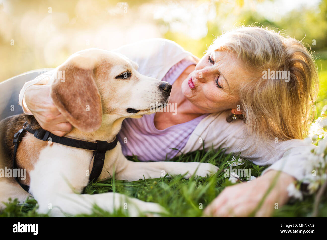 Beautiful senior woman with dog in spring nature. Stock Photo